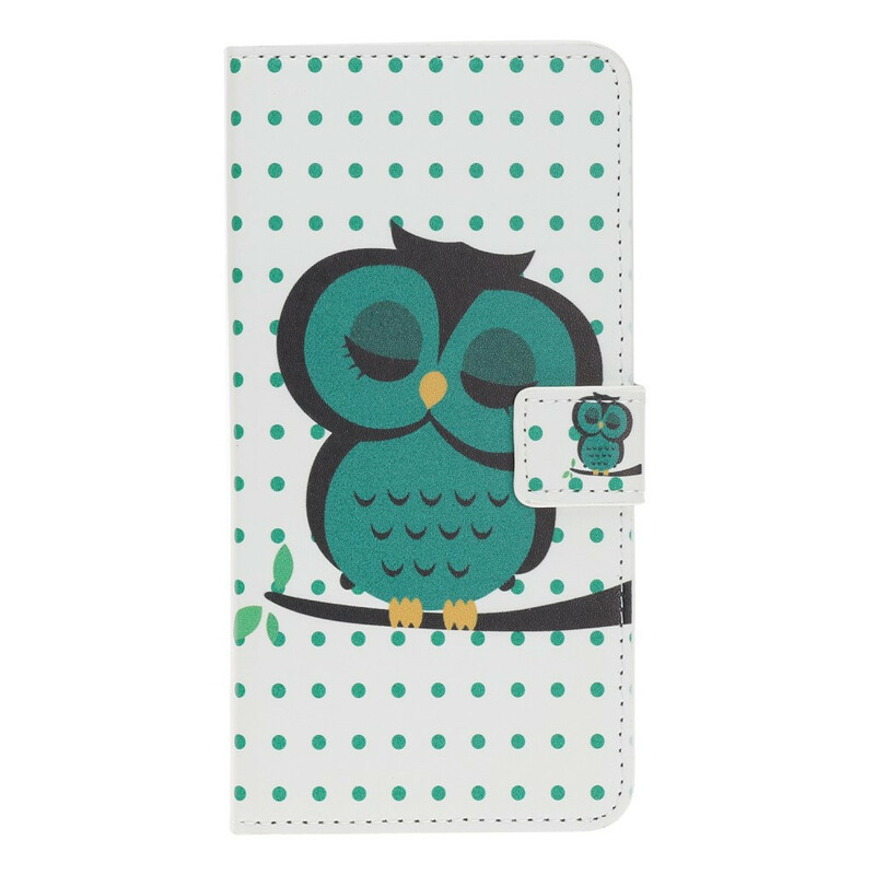 Kotelo iPhone 11R Sleeping Owl